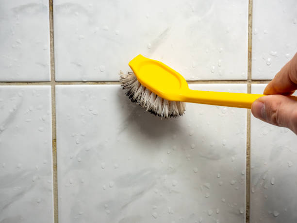 Best Toxic Mold Removal  in Morgan Hill, PA