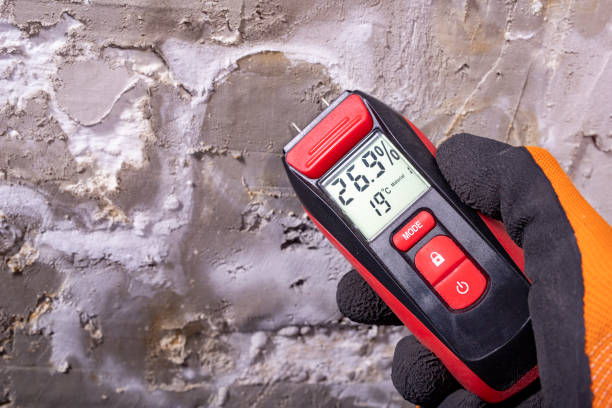Best Residential Mold Removal  in Morgan Hill, PA