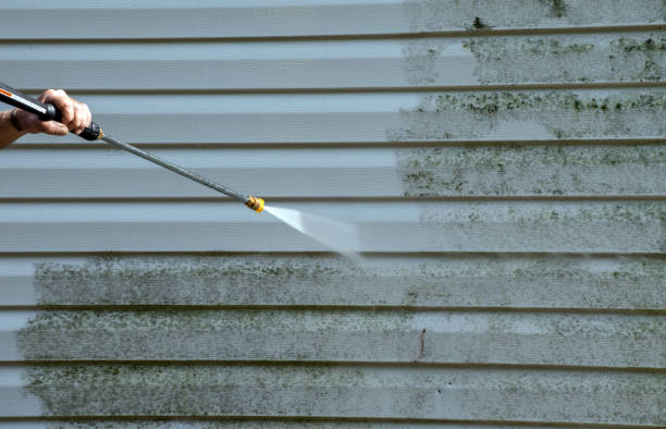 Best Attic Mold Removal  in Morgan Hill, PA