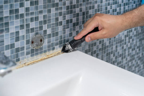 Best Toxic Mold Removal  in Morgan Hill, PA