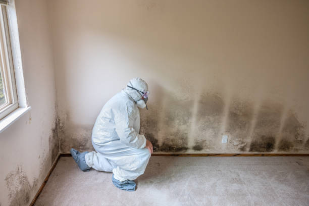 Best Crawl Space Mold Removal  in Morgan Hill, PA